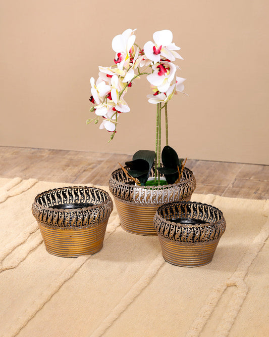 Victorian Baroque Planter- Set Of 3