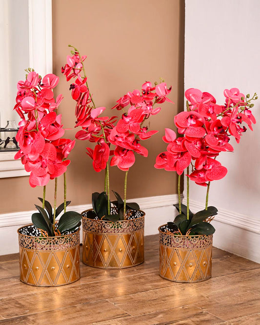 Gilded Diamond Motif Planter - Set Of 3