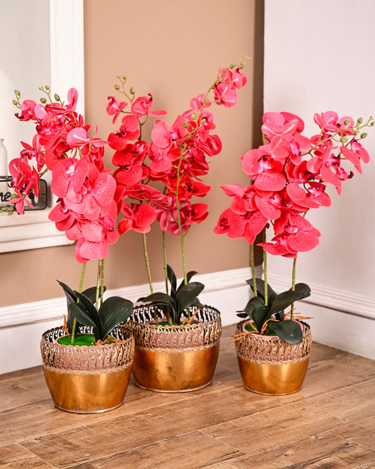 Victorian Scroll Rim Planter - Set Of 3